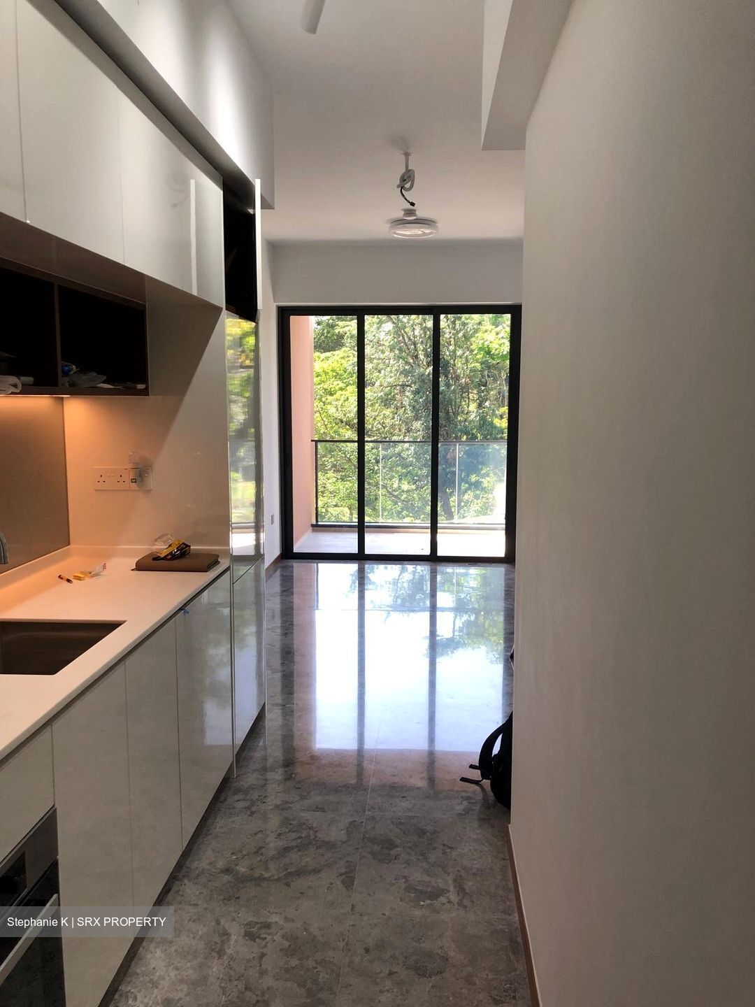 Fourth Avenue Residences (D10), Apartment #482558681